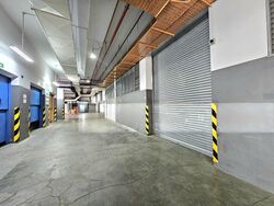 Trivex (D13), Warehouse #567464641